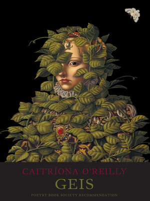 cover image of Geis